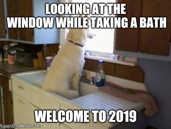 Dog looking out window | LOOKING AT THE WINDOW WHILE TAKING A BATH; WELCOME TO 2019 | image tagged in dog looking out window | made w/ Imgflip meme maker