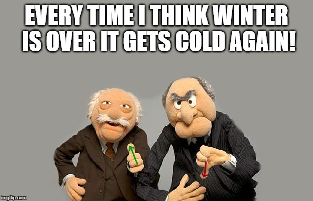 up-down-vote | EVERY TIME I THINK WINTER IS OVER IT GETS COLD AGAIN! | image tagged in up-down-vote | made w/ Imgflip meme maker