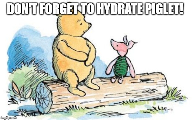 winnie the pooh and piglet | DON'T FORGET TO HYDRATE PIGLET! | image tagged in winnie the pooh and piglet | made w/ Imgflip meme maker