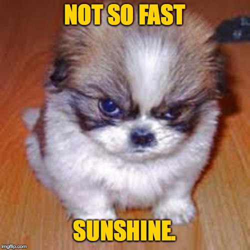 NOT SO FAST SUNSHINE. | made w/ Imgflip meme maker