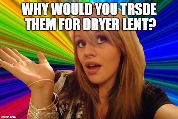 Dumb Blonde Meme | WHY WOULD YOU TRSDE THEM FOR DRYER LENT? | image tagged in memes,dumb blonde | made w/ Imgflip meme maker