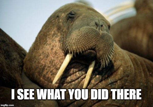 Sexual Deviant Walrus Meme | I SEE WHAT YOU DID THERE | image tagged in memes,sexual deviant walrus | made w/ Imgflip meme maker