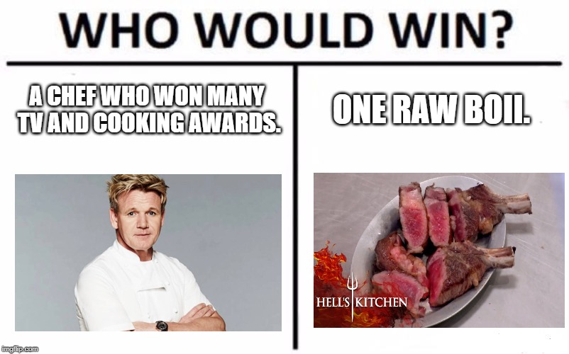 Who Would Win? | A CHEF WHO WON MANY TV AND COOKING AWARDS. ONE RAW BOII. | image tagged in memes,who would win | made w/ Imgflip meme maker