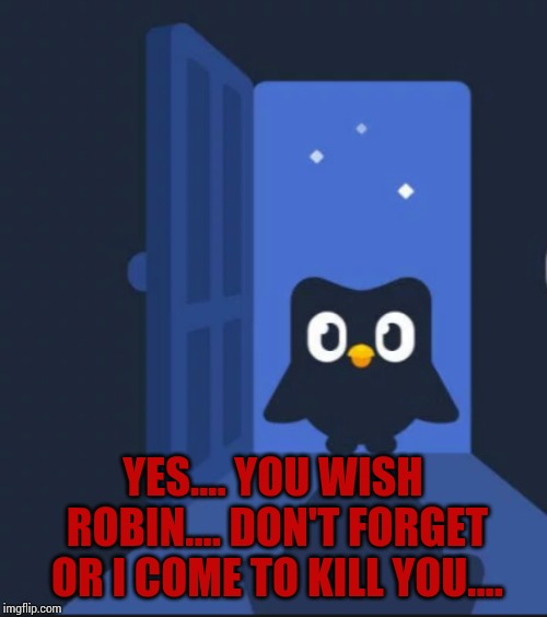 Duolingo bird | YES.... YOU WISH ROBIN.... DON'T FORGET OR I COME TO KILL YOU.... | image tagged in duolingo bird | made w/ Imgflip meme maker