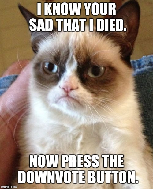 Grumpy Cat Meme | I KNOW YOUR SAD THAT I DIED. NOW PRESS THE DOWNVOTE BUTTON. | image tagged in memes,grumpy cat | made w/ Imgflip meme maker