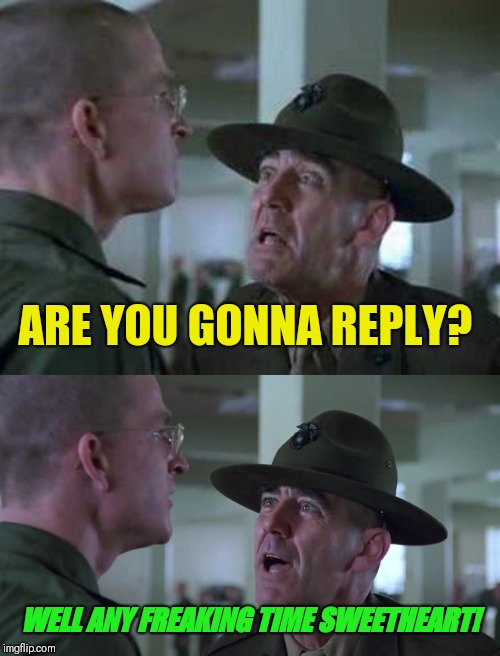 ARE YOU GONNA REPLY? WELL ANY FREAKING TIME SWEETHEART! | image tagged in sgt hartman wat,sergeant hartmann | made w/ Imgflip meme maker