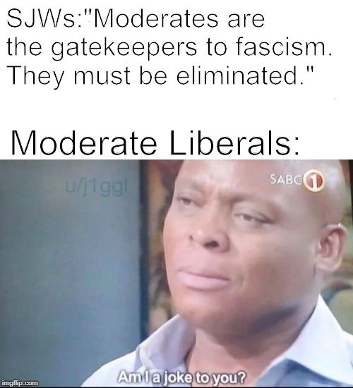 am I a joke to you | SJWs:"Moderates are the gatekeepers to fascism. They must be eliminated."; Moderate Liberals: | image tagged in am i a joke to you | made w/ Imgflip meme maker