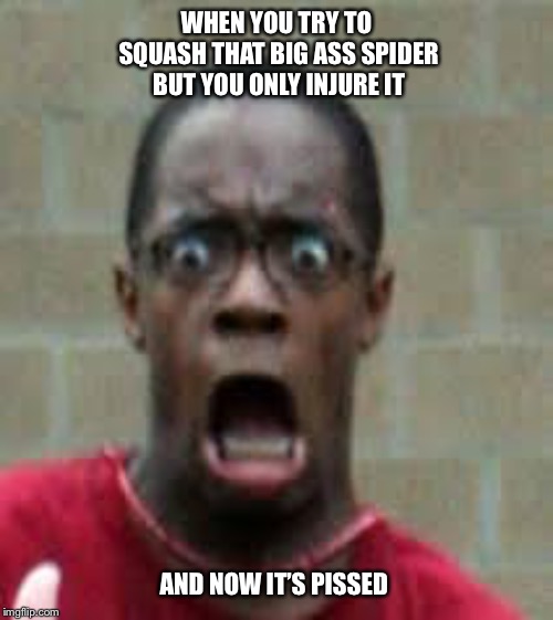 Scared Black Guy | WHEN YOU TRY TO SQUASH THAT BIG ASS SPIDER BUT YOU ONLY INJURE IT; AND NOW IT’S PISSED | image tagged in scared black guy,spider,bugs,arachnophobia,scared,funny | made w/ Imgflip meme maker