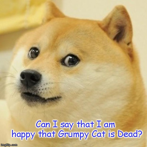 Ding Dong the Grumpy Cat is Gone | Can I say that I am happy that Grumpy Cat is Dead? | image tagged in doge,grumpy cat,dog | made w/ Imgflip meme maker