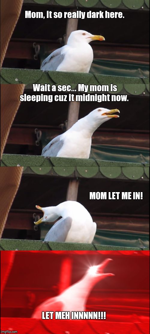 Oh no, here we go again... | Mom, it so really dark here. Wait a sec... My mom is sleeping cuz it midnight now. MOM LET ME IN! LET MEH INNNNN!!! | image tagged in memes,inhaling seagull,midnight,here we go again,funny memes | made w/ Imgflip meme maker