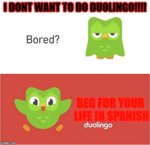 DUOLINGO BORED | I DONT WANT TO DO DUOLINGO!!!! BEG FOR YOUR LIFE IN SPANISH | image tagged in duolingo bored | made w/ Imgflip meme maker
