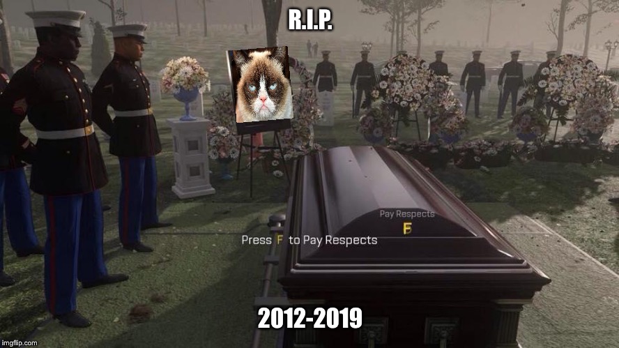 Rest in pepperoni | R.I.P. 2012-2019 | image tagged in press f to pay respects,grumpy cat,grumpy cat news,rest in peace | made w/ Imgflip meme maker