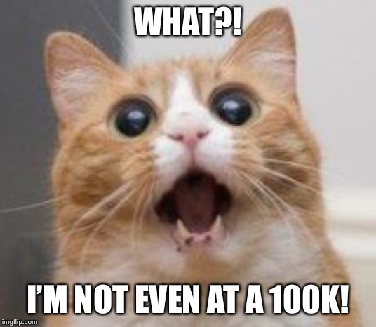 Wow | WHAT?! I’M NOT EVEN AT A 100K! | image tagged in wow | made w/ Imgflip meme maker