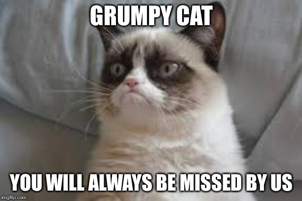 Tardar Sauce was a great cat. |  GRUMPY CAT; YOU WILL ALWAYS BE MISSED BY US | image tagged in grumpy cat | made w/ Imgflip meme maker