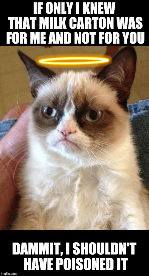 R.I.P Grumpy Cat, we'll miss you | IF ONLY I KNEW THAT MILK CARTON WAS FOR ME AND NOT FOR YOU; DAMMIT, I SHOULDN'T HAVE POISONED IT | image tagged in memes,grumpy cat,rip grumpy cat,poison | made w/ Imgflip meme maker
