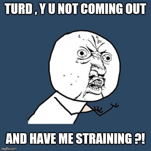 Y U No Meme | TURD , Y U NOT COMING OUT; AND HAVE ME STRAINING ?! | image tagged in memes,y u no | made w/ Imgflip meme maker