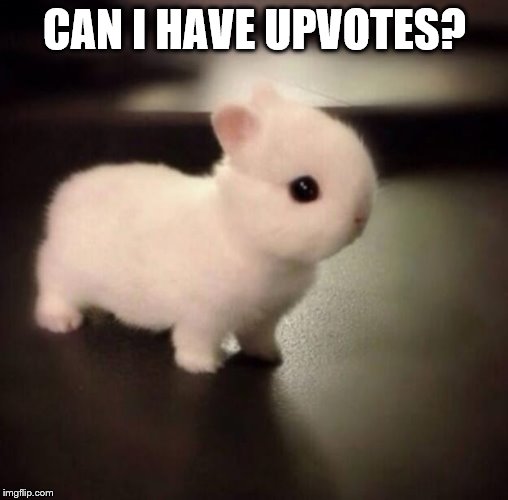 This Bunny Wants Upvotes | CAN I HAVE UPVOTES? | image tagged in bunnies,cute,upvotes | made w/ Imgflip meme maker