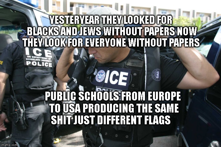 Illegal Immigration | YESTERYEAR THEY LOOKED FOR BLACKS AND JEWS WITHOUT PAPERS NOW THEY LOOK FOR EVERYONE WITHOUT PAPERS; PUBLIC SCHOOLS FROM EUROPE TO USA PRODUCING THE SAME SHIT JUST DIFFERENT FLAGS | image tagged in illegal immigration | made w/ Imgflip meme maker