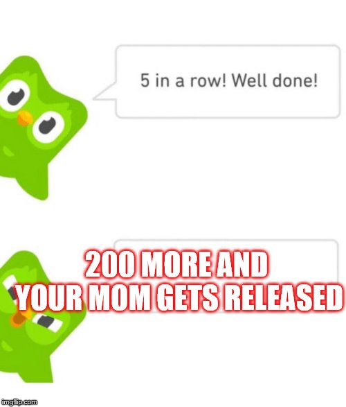 why duo why | 200 MORE AND YOUR MOM GETS RELEASED | image tagged in duolingo 5 in a row | made w/ Imgflip meme maker