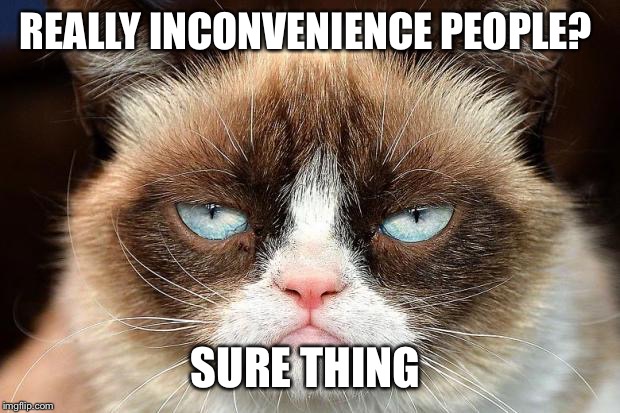 Grumpy Cat Not Amused Meme | REALLY INCONVENIENCE PEOPLE? SURE THING | image tagged in memes,grumpy cat not amused,grumpy cat | made w/ Imgflip meme maker