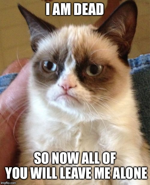 Grumpy Cat | I AM DEAD; SO NOW ALL OF YOU WILL LEAVE ME ALONE | image tagged in memes,grumpy cat | made w/ Imgflip meme maker