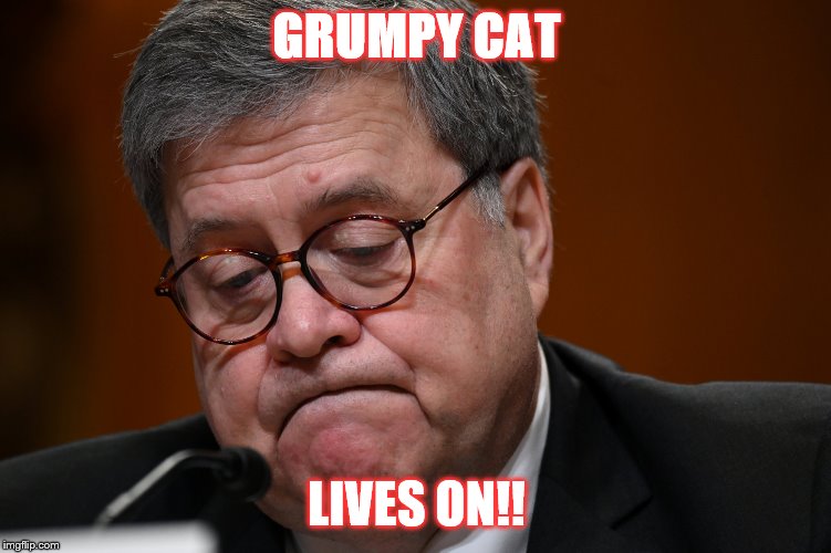 William Barr | GRUMPY CAT; LIVES ON!! | image tagged in william barr | made w/ Imgflip meme maker