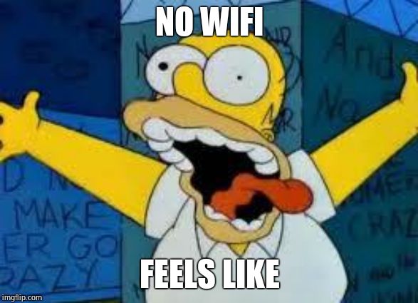 Homer Going Crazy | NO WIFI; FEELS LIKE | image tagged in homer going crazy | made w/ Imgflip meme maker