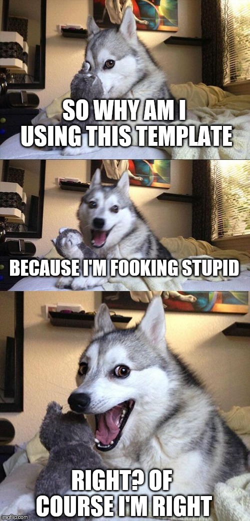 Bad Pun Dog Meme | SO WHY AM I USING THIS TEMPLATE; BECAUSE I'M FOOKING STUPID; RIGHT? OF COURSE I'M RIGHT | image tagged in memes,bad pun dog | made w/ Imgflip meme maker