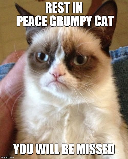 HE IS IN A BETTER PLACE NOW RIP:( | REST IN PEACE GRUMPY CAT; YOU WILL BE MISSED | image tagged in memes,grumpy cat,rip | made w/ Imgflip meme maker