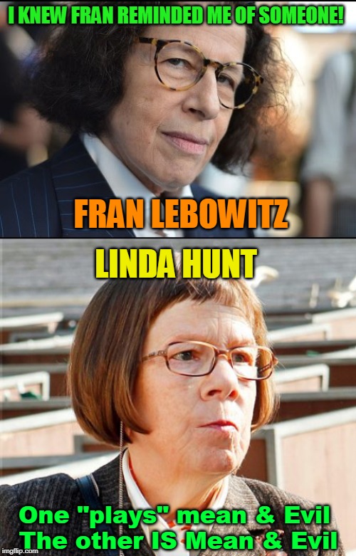 I KNEW FRAN REMINDED ME OF SOMEONE! FRAN LEBOWITZ; LINDA HUNT; One "plays" mean & Evil The other IS Mean & Evil | made w/ Imgflip meme maker