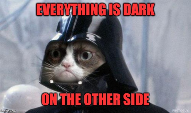 Grumpy Cat Star Wars Meme | EVERYTHING IS DARK ON THE OTHER SIDE | image tagged in memes,grumpy cat star wars,grumpy cat | made w/ Imgflip meme maker