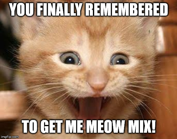 Excited Cat Meme | YOU FINALLY REMEMBERED; TO GET ME MEOW MIX! | image tagged in memes,excited cat | made w/ Imgflip meme maker