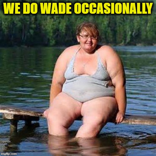 big woman, big heart | WE DO WADE OCCASIONALLY | image tagged in big woman big heart | made w/ Imgflip meme maker