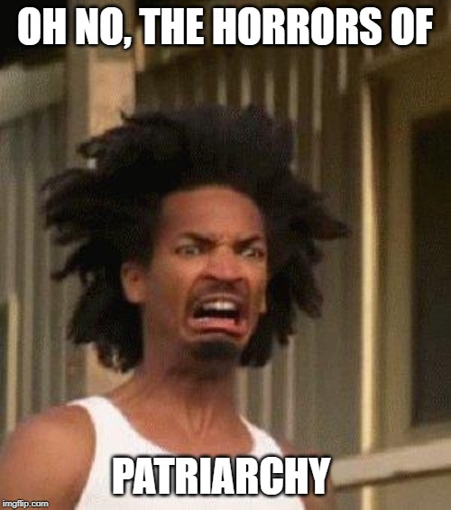 Disgusted Face | OH NO, THE HORRORS OF PATRIARCHY | image tagged in disgusted face | made w/ Imgflip meme maker