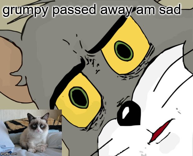 grumpy passed away im sad | grumpy passed away am sad | image tagged in memes,unsettled tom,meme,grumpy cat,sad,funny memes | made w/ Imgflip meme maker