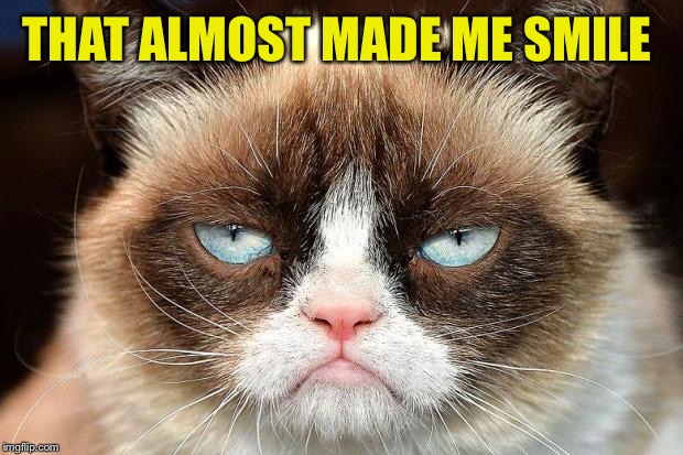 Grumpy Cat Not Amused Meme | THAT ALMOST MADE ME SMILE | image tagged in memes,grumpy cat not amused,grumpy cat | made w/ Imgflip meme maker