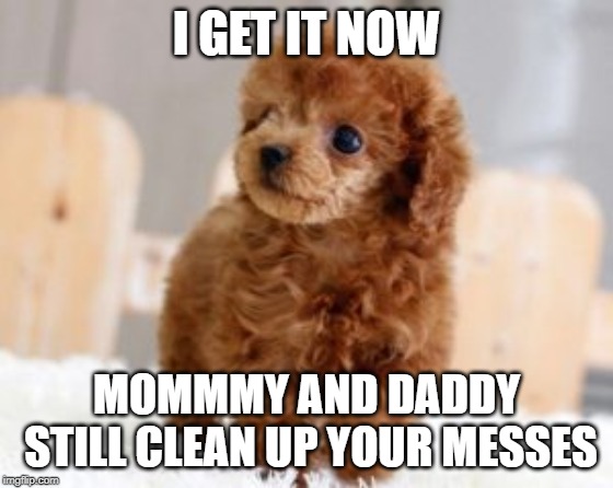 I get it | I GET IT NOW MOMMMY AND DADDY STILL CLEAN UP YOUR MESSES | image tagged in i get it | made w/ Imgflip meme maker