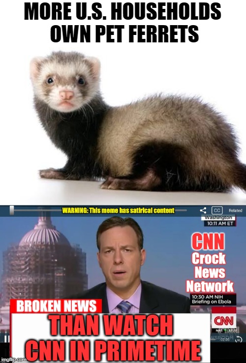 CNN Viewership down another 26%. Tim Pool on YouTube has more daily viewers. | MORE U.S. HOUSEHOLDS OWN PET FERRETS; THAN WATCH CNN IN PRIMETIME | image tagged in ferret love,cnn crock news network | made w/ Imgflip meme maker