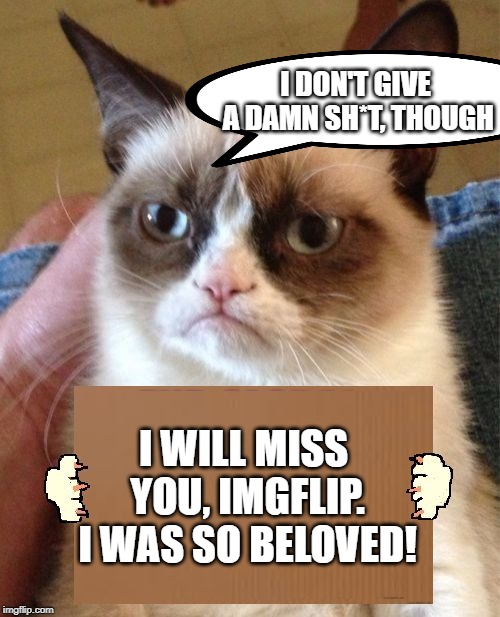 Grumpy Cat Cardboard Sign | I DON'T GIVE A DAMN SH*T, THOUGH; I WILL MISS YOU, IMGFLIP. I WAS SO BELOVED! | image tagged in grumpy cat cardboard sign | made w/ Imgflip meme maker