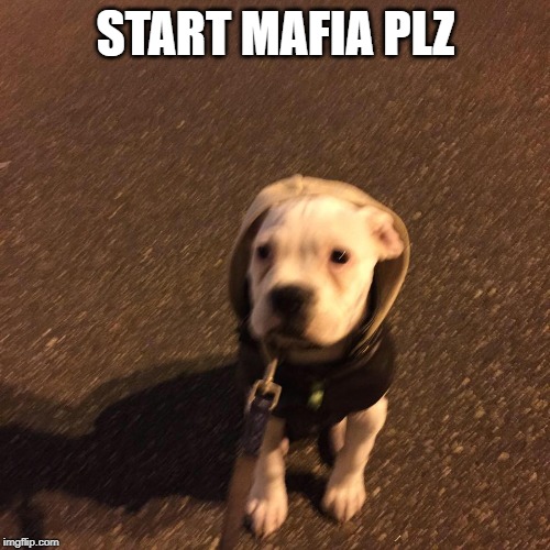 START MAFIA PLZ | made w/ Imgflip meme maker