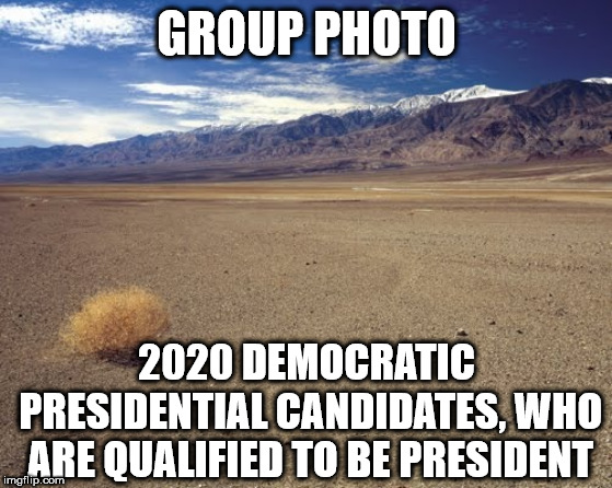 desert tumbleweed | GROUP PHOTO; 2020 DEMOCRATIC PRESIDENTIAL CANDIDATES, WHO ARE
QUALIFIED TO BE PRESIDENT | image tagged in desert tumbleweed | made w/ Imgflip meme maker