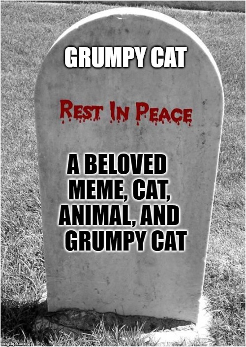 Gravestone | GRUMPY CAT; A BELOVED MEME, CAT, ANIMAL, AND    GRUMPY CAT | image tagged in gravestone | made w/ Imgflip meme maker