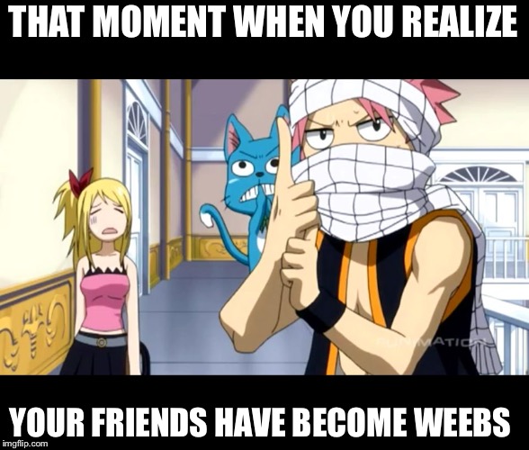 We are ninja! | THAT MOMENT WHEN YOU REALIZE; YOUR FRIENDS HAVE BECOME WEEBS | image tagged in natsu,fairytail,ninja,weeb,naruto | made w/ Imgflip meme maker