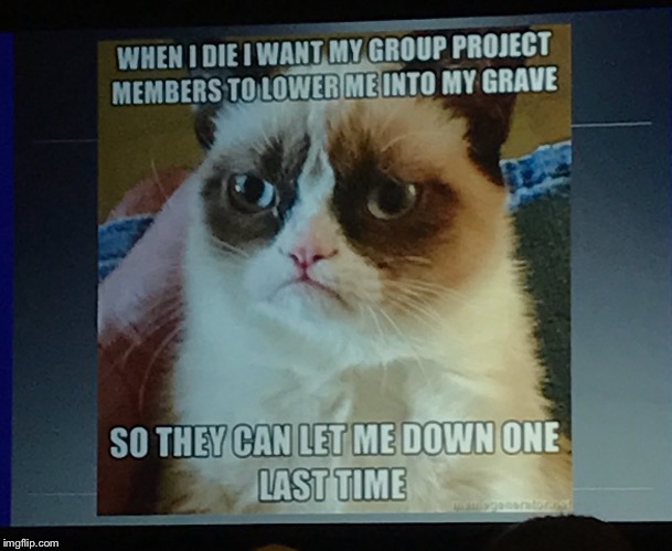 Death | image tagged in grumpy cat | made w/ Imgflip meme maker