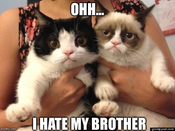 Grumpy cat and brother | OHH... I HATE MY BROTHER | image tagged in grumpy cat and brother | made w/ Imgflip meme maker