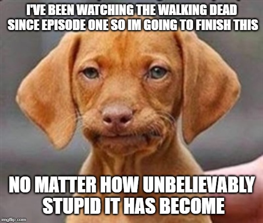 They never learn | I'VE BEEN WATCHING THE WALKING DEAD SINCE EPISODE ONE SO IM GOING TO FINISH THIS; NO MATTER HOW UNBELIEVABLY STUPID IT HAS BECOME | image tagged in the walking dead,writers,stupid liberals,stupid people,tv show,walking dead negan | made w/ Imgflip meme maker