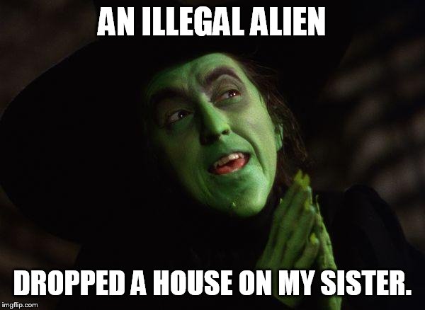 ban assault houses | AN ILLEGAL ALIEN DROPPED A HOUSE ON MY SISTER. | image tagged in wicked witch west | made w/ Imgflip meme maker