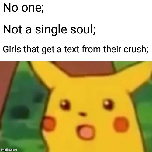 Surprised Pikachu | No one;; Not a single soul;; Girls that get a text from their crush; | image tagged in memes,surprised pikachu | made w/ Imgflip meme maker