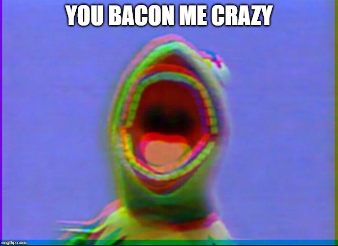 kermit scream | YOU BACON ME CRAZY | image tagged in kermit scream | made w/ Imgflip meme maker