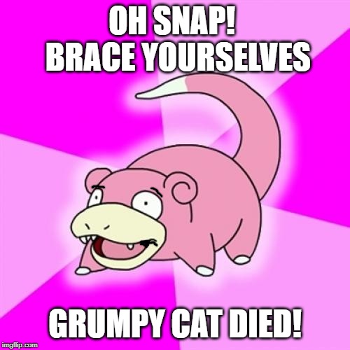 Slowpoke |  OH SNAP!  BRACE YOURSELVES; GRUMPY CAT DIED! | image tagged in memes,slowpoke | made w/ Imgflip meme maker